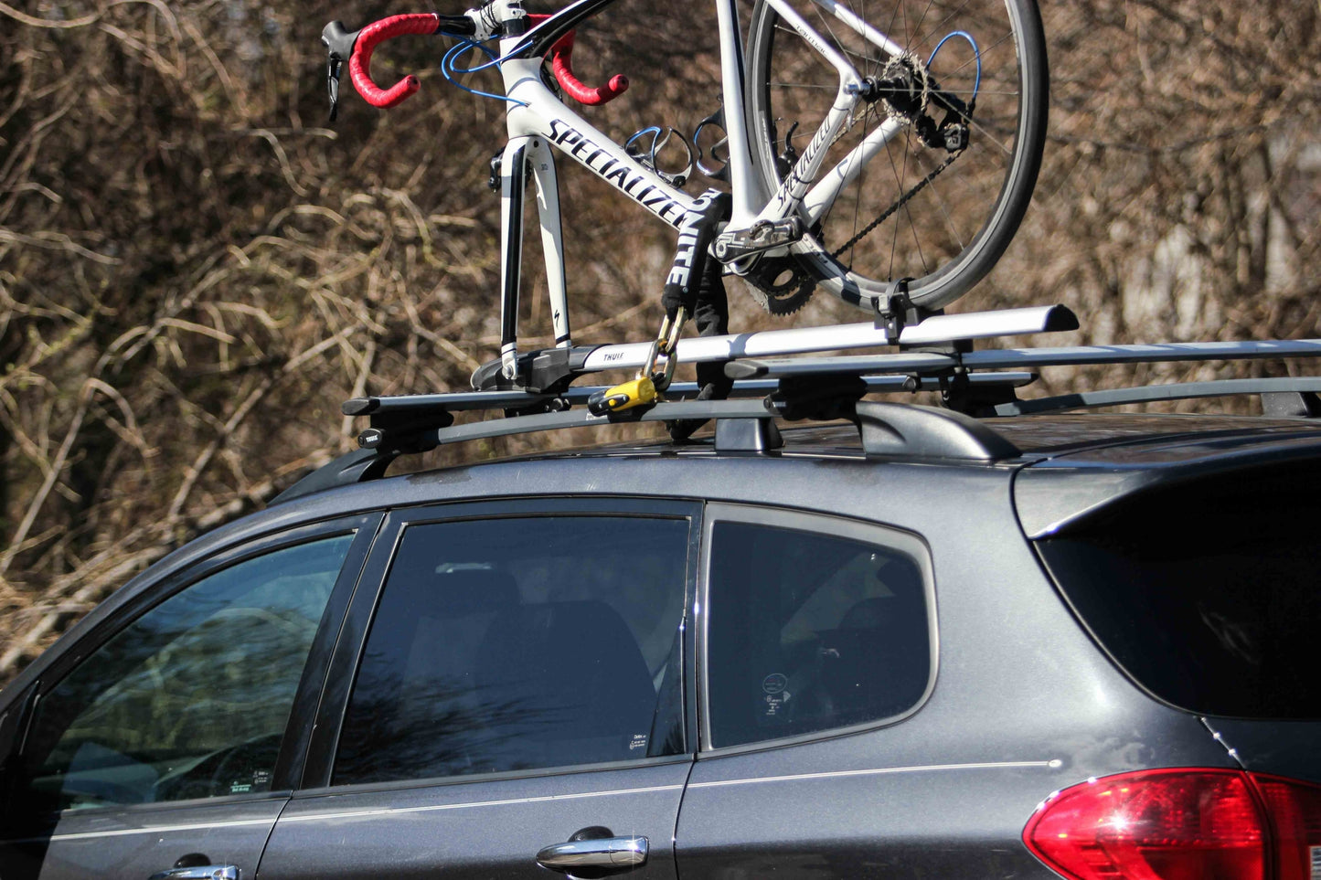 NEW YORK FAHGETTABOUDIT CHAIN 1415